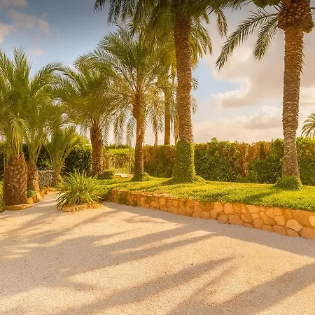 Apartment Palmeras *